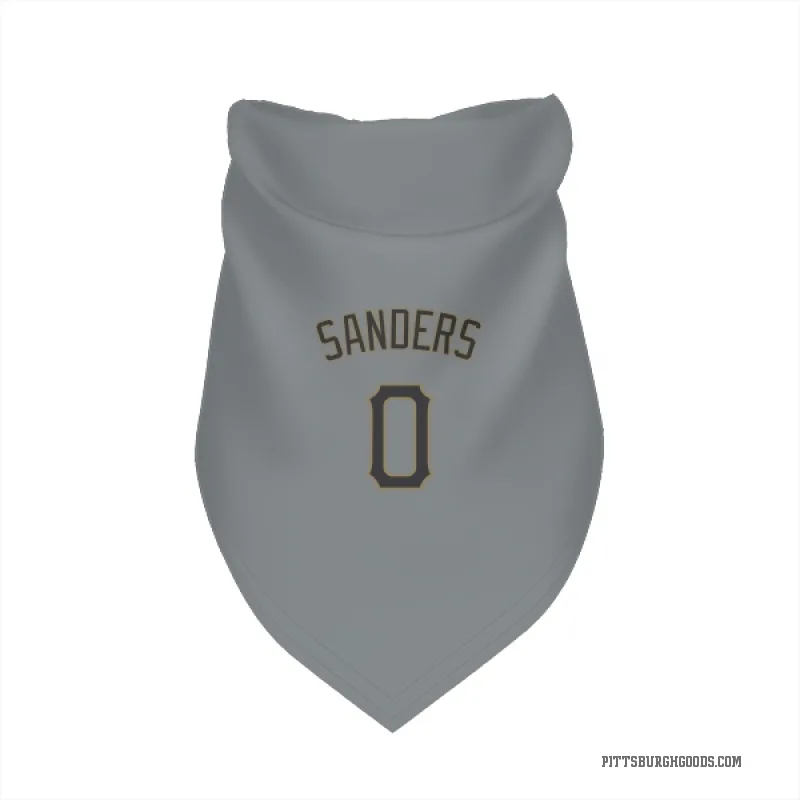 Camden Sanders  Gray Pittsburgh Pirates  Cat & Dog Pet Bandana