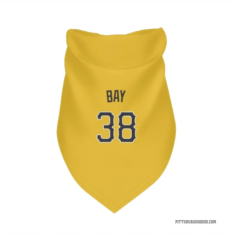 Jason Bay  Gold Pittsburgh Pirates  Cat & Dog Pet Bandana