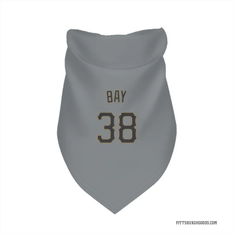 Jason Bay  Gray Pittsburgh Pirates  Cat & Dog Pet Bandana