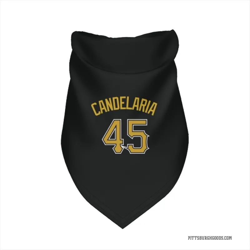 John Candelaria  Black Pittsburgh Pirates  Cat & Dog Pet Bandana