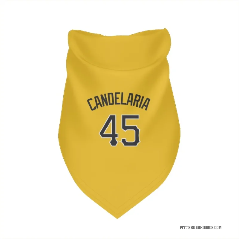 John Candelaria  Gold Pittsburgh Pirates  Cat & Dog Pet Bandana