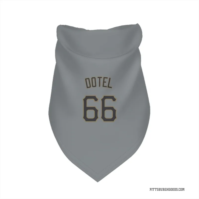 Wilber Dotel  Gray Pittsburgh Pirates  Cat & Dog Pet Bandana