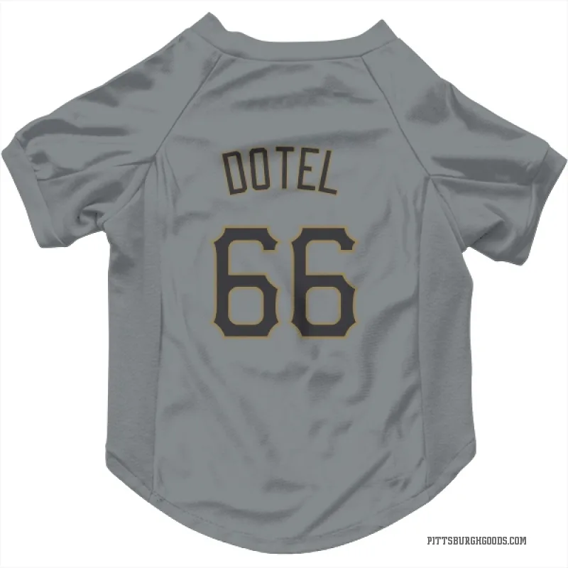 Wilber Dotel  Gray Pittsburgh Pirates  Cat & Dog Pet Jersey